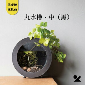 yӂ邳Ɣ[ŁzyMyāERzېEijaqua-01s