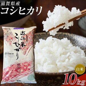 �y�ӂ邳�Ɣ[�Łz�y�ߘa7�N�Y�z�ߍ]�ăR�V�q�J������10kg | ���� ���� ���� �H�i �l�C �������� �������� �b��s �ߍ]��