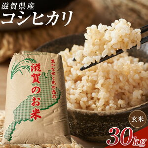 �y�ӂ邳�Ɣ[�Łz�y�ߘa7�N�Y�z�ߍ]�ăR�V�q�J������30kg | ���� ���� ���� �H�i �l�C �������� �������� �b��s �ߍ]��