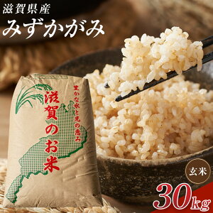 �y�ӂ邳�Ɣ[�Łz�y�ߘa7�N�Y�z�ߍ]�Ă݂������݌���30kg | ���� ���� ���� �H�i �l�C �������� �������� �b��s �ߍ]��