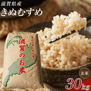 �y�ӂ邳�Ɣ[�Łz�y�ߘa7�N�Y�z�ߍ]�Ă��ʂނ��ߌ���30kg | ���� ���� ���� �H�i �l�C �������� �������� �b��s �ߍ]��