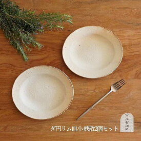 【ふるさと納税】信楽焼　鉄散だ円リム皿(小)　2枚セット