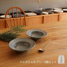 【ふるさと納税】信楽焼 リムボウル（大） グレー釉 2枚セット【古谷製陶所】 | 甲賀市 陶器製 ボウル 大サイズ グレー釉 手作り 和モダン 人気 おすすめ 焼き物 食器 和食器 盛り鉢 インテリア キッチン雑貨 おしゃれ お取り寄せ 通販 送料無料 ふるさと納税
