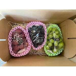 �y�ӂ邳�Ɣ[�Łz���̂� �{�̂Ԃǂ� 3�F�H�ה�׋l���� 1.5kg�`1.7kg(�V���C���}�X�J�b�g����)�y2026�N�����z | �b��s ���̂� 3��Ԃǂ� �H�ה�� �l�C �������� �t���[�c �ʕ� �l�ߍ��킹 �M�t