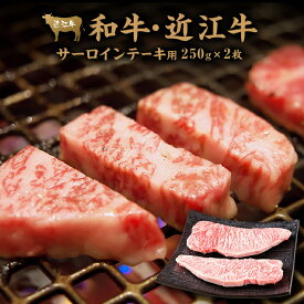 【ふるさと納税】肉 牛肉 近江牛 サーロイン ステーキ 500g ( 250g × 2枚 ) | お肉 滋賀 高級 ブランド 黒毛和牛 ギフト 美味しい 冷凍 人気 おすすめ 国産