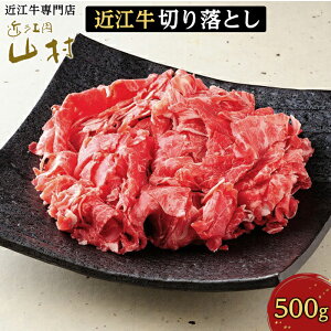 yӂ邳Ɣ[Łz  ߍ] ؂藎Ƃ 500g | bs Y uh ؂藎Ƃ ؂ uߕ ϕ  Ⴊ lC   a Ԑg Ⓚۑ Mtg p 