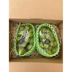 �y�ӂ邳�Ɣ[�Łz���̂� �{�̂Ԃǂ� �V���C���}�X�J�b�g 2�[�Z�b�g 1.0kg�`1.2kg�y2026�N�����z | �b��s ���̂� �ʕ� �����x �V���C���}�X�J�b�g �Ԃǂ� �t���[�c �ʕ��Z�b�g �M�t�g �l�C ����