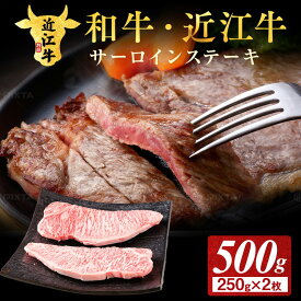 【ふるさと納税】肉 牛肉 近江牛 サーロイン ステーキ 500g ( 250g × 2枚 )