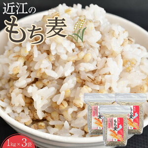 yӂ邳Ɣ[Łzߍ]̂1kg3 | H@ N 唞  3L |tFm[ ՂՂ   lC  