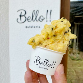 【ふるさと納税】【無添加・無着色】手作り ジェラート 定番人気アソート B | お菓子 菓子 おかし スイーツ デザート 食品 無添加 無着色 人気 おすすめ 送料無料