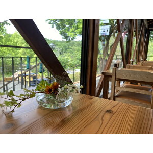 yӂ邳Ɣ[Łzߍ]xmԗΌ XуJtF u܂قv p 1,000~×3 | h `Pbg lC 