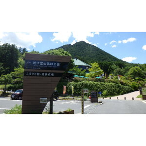 yӂ邳Ɣ[Łzߍ]xmԗΌӂ邳ƊفAbWʂh 6,000~ | h `Pbg lC 