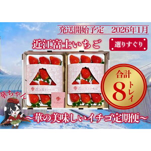 �y�ӂ邳�Ɣ[�Łz�w�ߍ]�x�m�������x�I�肷����I�؂̔��������C�`�S����ցy9�`15��2�g���C×4��z | �ʕ� � �t���[�c �Еz�� 2×4�� 8�p�b�N �V�N ����Y �ʕ� �������� �H�i �l�C �������� 