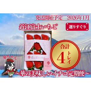 �y�ӂ邳�Ɣ[�Łz�w�ߍ]�x�m�������x�I�肷����I�؂̔��������C�`�S����ցy9�`15��1�g���C×4��z