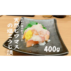 【ふるさと納税】天然ビワマスの塩こうじ漬 400g　 | ビワマス 琵琶湖 固有種 魚 ビワマス塩こうじ 高級 魚 漬け ふるさと納税 滋賀 珍しい 野洲市 人気 おすすめ 送料無料
