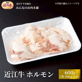 【ふるさと納税】近江牛 ホルモン(200g×3個)　600g | 滋賀 野洲 お取り寄せ グルメ ご当地 肉 お肉 にく 牛 牛肉 ビーフ 近江牛 和牛 人気 おすすめ 送料無料