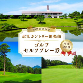 【ふるさと納税】平日2名様 セルフプレー券 ゴルフ スポーツ 体験 チケット プレー券 利用券 ペア 券 観光 クーポン セルフプレー 2名 二名 平日 滋賀県 湖南市 送料無料