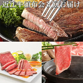 【ふるさと納税】近江牛頒布会3回お届け（すきしゃぶ用500g・ローストビーフ2個・ステーキ2枚）【近江牛専門店かねきち】 お肉 牛肉 すき焼き 牛肉/しゃぶしゃぶ ステーキ