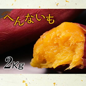 【ふるさと納税】『へんないも屋』一口サイズの熟成焼き芋2kg（シルクスイート使用）　【野菜・サツマイモ・さつまいも・シルクスイート・詰合せ・一口サイズ・へんないも・第9回ニッポン全国ご当地おやつランキング】