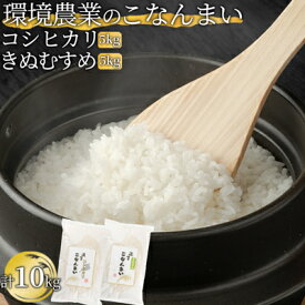 【ふるさと納税】環境農業のこなんまい コシヒカリ5kg・きぬむすめ5kg（計10kg）　【 お米 おにぎり 】