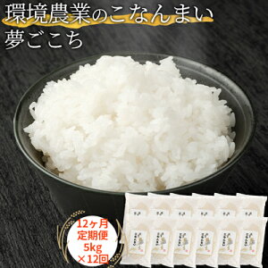 yӂ邳Ɣ[Łzy12ցz_Ƃ̂Ȃ܂ 5kg  ɂ