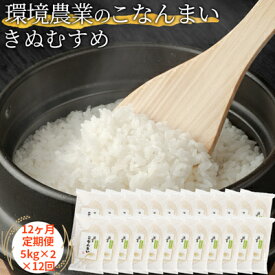 【ふるさと納税】【12ヶ月定期便】環境農業のこなんまい きぬむすめ10kg　【定期便・ お米 おにぎり 】