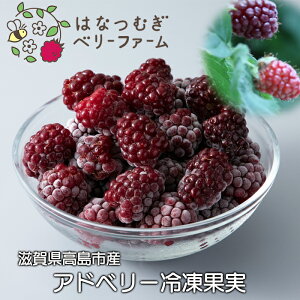 yӂ邳Ɣ[ŁzyH-185z͂Ȃނx[t@[@Ahx[Ⓚʎ(300g×6)mIin