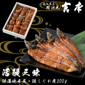 【ふるさと納税】【B-748】近江高島鮎池元 吉本 活鰻三昧　うなぎ蒲焼 4尾・うなぎ時雨煮 200g【高島屋選定品】