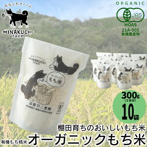 yӂ邳Ɣ[ŁzyC-104z݂Ȃt@[@I[KjbNā@Hd@L@ā@300gi2)×10mIin