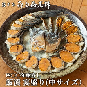 yӂ邳Ɣ[ŁzyB-904z{Ɗ쑽iV܁@lZZN ђ iTCYjyIiz