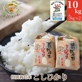 【ふるさと納税】【令和7年産　新米】【C-546】よこいファーム 特別栽培米コシヒカリA　10kg（5kg×2） ［高島屋選定品］