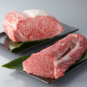 牛肉 ブロック ヒレの人気商品 通販 価格比較 価格 Com