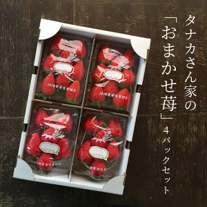 yӂ邳Ɣ[Łz _Ƃ̂܂4pbNZbg ʕ    VN 񂹂 _ yV t ԗi Ε Mtg v[g j 蕨 ӂ邳Ɣ[Ł@A-G03@