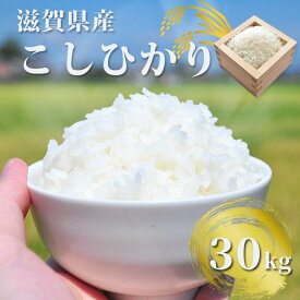 【ふるさと納税】 【先行予約】ぎおん米コシヒカリ 30kg 株式会社TKS 滋賀県 東近江市 G-G02 米 白米 こしひかり 30キロ お取り寄せ 産地直送