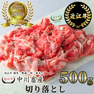 yӂ邳Ɣ[Łz q ߍ] ؂藎Ƃ 500g Ii {Y A-C08 ߘa4Nx Sp} ŗDG܎ Lv AEghA 蕨 Mtg ɂ Y ꌧ ߍ] _