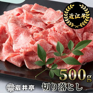 yӂ邳Ɣ[Łz  ߍ] ؂藎Ƃ500g ijX ꌧ ߍ]s A-E16 a   ؂藎Ƃ ē Ă ϕ uߕ Mtg   ߍ]
