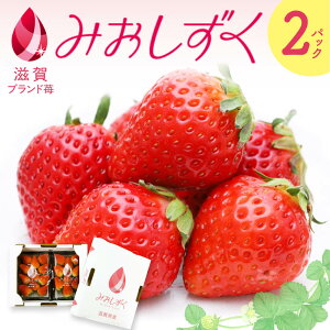 �y�ӂ邳�Ɣ[�Łz������ �i�݂��������j1���i2�p�b�N����j ������Г��ߍ]������X�e�[�V���� ���ꌧ ���ߍ]�s O-F03 ������ �C�`�S �݂������� 2�p�b�N �t���[�c �Y�n���� �M�t�g