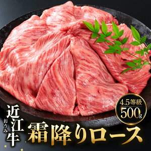 yӂ邳Ɣ[Łz ߍ][XXCX 500guh ߍ]   lC Y yV t ԗi Ε Mtg v[g j 蕨 ӂ邳Ɣ[ ߍ] ߍ] C-D21 TX