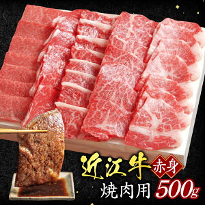 yӂ邳Ɣ[ŁzԐgiĂpj500g uh   lC Y yV t ԗi Ε Mtg v[g j 蕨 ӂ邳Ɣ[ ߍ] ߍ] B-E16 ͐X