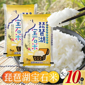 【ふるさと納税】 琵琶湖宝石米 5kg×2袋 計10kg お米 ご飯 一人暮らし 常温保存 備蓄 楽天 返礼品 寄付 お歳暮 お祝い 贈り物 故郷納税 滋賀県 東近江 近江 B-G10 中川吉兵衛商店