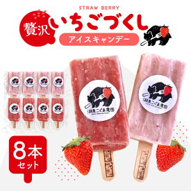 【ふるさと納税】いちご農家の贅沢いちごづくしアイスキャンデー8本セット（いちご・いちごミルク）湖東こぐま農園 滋賀県 東近江市 A-B28 アイス アイスキャンデー 詰め合わせ ギフト スイーツ デザート