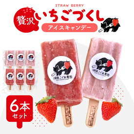 【ふるさと納税】いちご農家の贅沢いちごづくしアイスキャンデー6本セット（いちご・いちごミルク） 湖東こぐま農園 滋賀県 東近江市 O-I20 贅沢 いちごミルク 湖東こぐま農園 手作り ホームメイド アイスクリーム スイーツ デザート いちご農家 滋賀県 東近江市