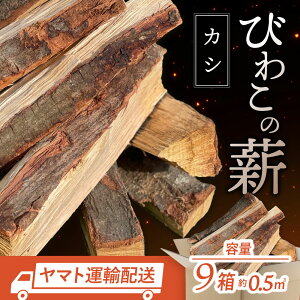 yӂ邳Ɣ[Łzт킱̐diJVd×9j ЃWW ꌧ ߍ]s AA-A01 т킱̐d JV d 9 Lt Xg[up Lv AEghA gF  Ύ Η d  