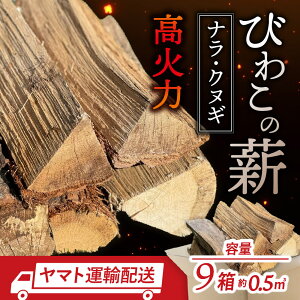 yӂ邳Ɣ[Łzт킱̐diiENkMd×9j ЃWW ꌧ ߍ]s AO-B02 т킱̐d i NkM d 9 Lt Xg[up Lv AEghA gF  d  