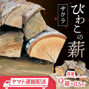 yӂ邳Ɣ[Łzт킱̐diTNd×9j ЃWW ꌧ ߍ]s AO-B03 d TN 9 Xg[u  Lv AEghA BBQ