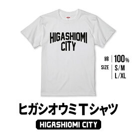 【ふるさと納税】 HIGASHIOMI CITY Tシャツ 服 プリントTシャツ 楽天 寄付 返礼品 お歳暮 ギフト プレゼント お祝い 贈り物 ふるさと納税 滋賀県 東近江 近江 A28 ODDS AND ENDS
