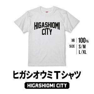 yӂ邳Ɣ[Łz HIGASHIOMI CITY TVc  vgTVc yV t ԗi Ε Mtg v[g j 蕨 ӂ邳Ɣ[ ꌧ ߍ] ߍ] A28 ODDS AND ENDS