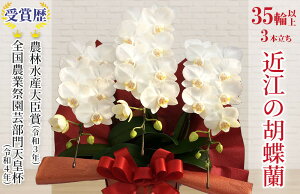 yӂ邳Ɣ[Łzߍ]̌Ӓ 3{ 35ֈȏ ~fBu~gvЃGt{ ꌧߍ]sE-G01 Ӓ  Mtg j 蕨 ꌧY Yn