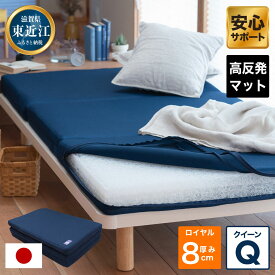【ふるさと納税】高反発マットレスQ敷布団「Royal」ブレスエアー製 近江化成工業株式会社 滋賀県 東近江市 BC02 高反発 マットレス 敷布団 ブレスエアー 東洋紡 体圧分散 腰痛 肩こり 睡眠 寝具