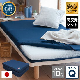 【ふるさと納税】高反発マットレスQ敷布団「Premier」ブレスエアー製 近江化成工業株式会社 滋賀県 東近江市 BF04 高反発 マットレス 敷布団 ブレスエアー 東洋紡 体圧分散 腰痛 肩こり 睡眠 寝具